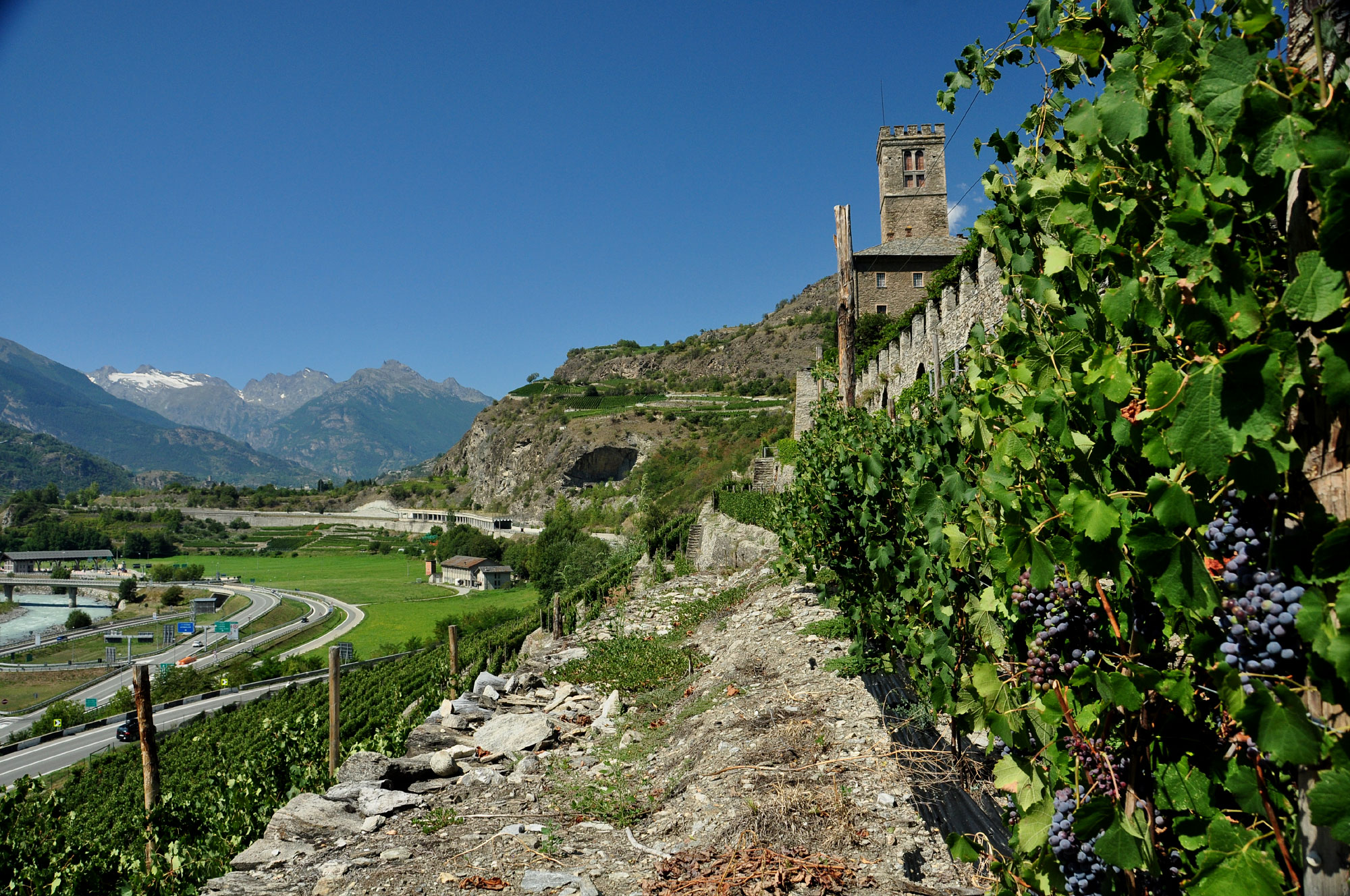 Sarre